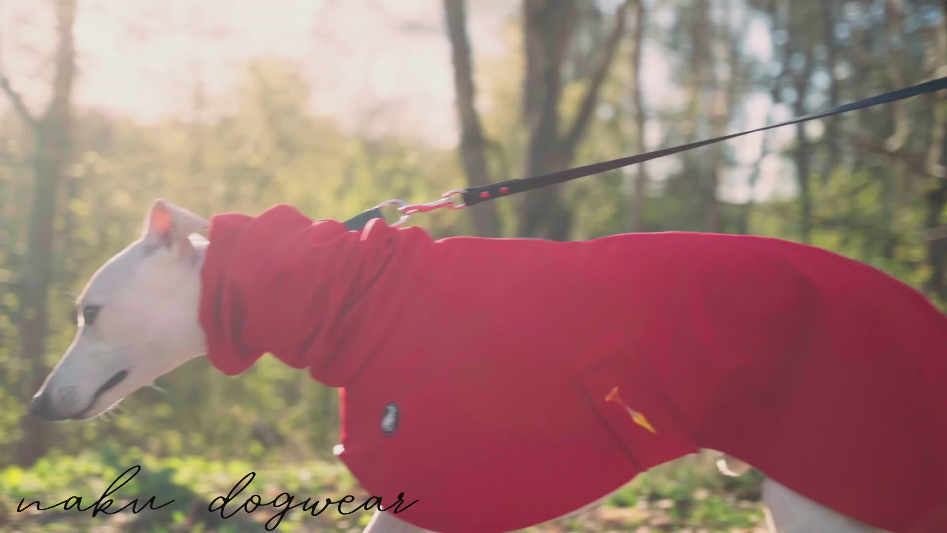 Lataa video: 